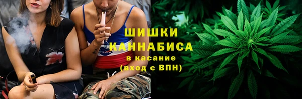 шишки Беломорск