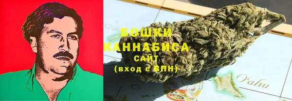 шишки Беломорск