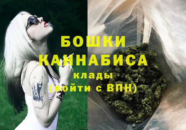шишки Беломорск