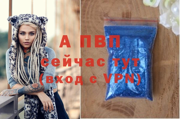 шишки Беломорск