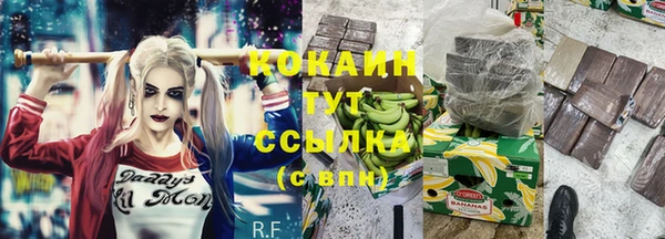 шишки Беломорск