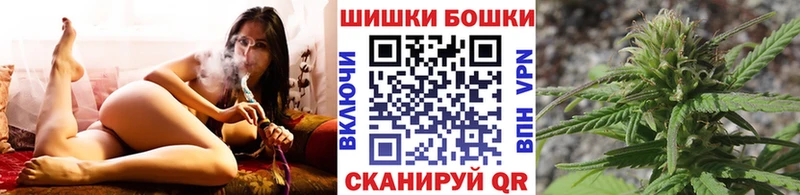 Конопля OG Kush Динская