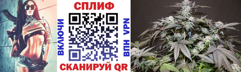 Канабис White Widow  Динская 